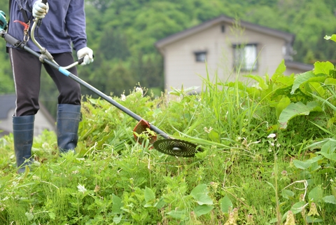 草刈り作業
